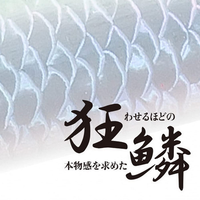Shimano Tairaba Engetsu Kyorin Tie 5 Pieces Twin Ed-R03U Orange Offshore Madai-Kiichin - The #1 Place for Japanese Goods in Your Hand!