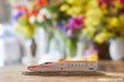 Tomytec Tomix N Gauge Hayabusa E5 Series FM-001 First Car Museum Model Train-Kiichin - The #1 Place for Japanese Goods in Your Hand!