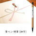 Zebra Fine Point Hard Brush Pen 10 Pieces B-Fd-303 Premium Black Ink-Kiichin - The #1 Place for Japanese Goods in Your Hand!
