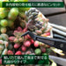 Hozan Plastic Tip Tweezers 1 Piece