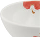 Nishitomi Imari Ware Tokushichi Kiln Red Apple Tea Set