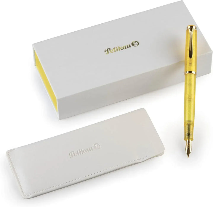 Pelikan Classic M200 Fountain Pen - Medium Nib, Chinese Text - 4012700828811