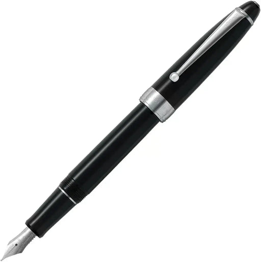 Pilot Custom NS Fountain Pen