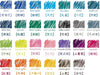 Pilot Iroshizuku Rokka Ink Fountain Pen Ink