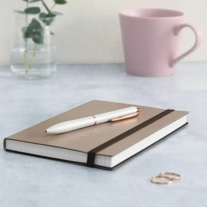 Pilot Oil Based Ballpoint Pen Eternink Smooth Writing Pen