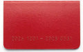 Raymay Fujii Monthly Block Planner Diary - Deep Red - 4902562522876