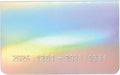 Raymay Fujii Monthly Block Planner Diary - Hologram - 4902562523682