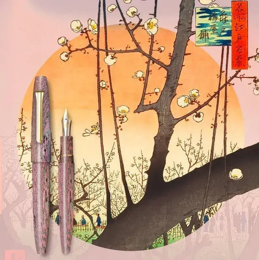 Sailor Pen Ebonite Fountain Pen Plum Blossom Nib 21 Gold