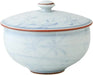 Seikai Toki Lidded Sencha Tea Cup - Inside And Outside Plants - 4965451645544