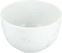Seikai Toki Lidded Sencha Tea Cup