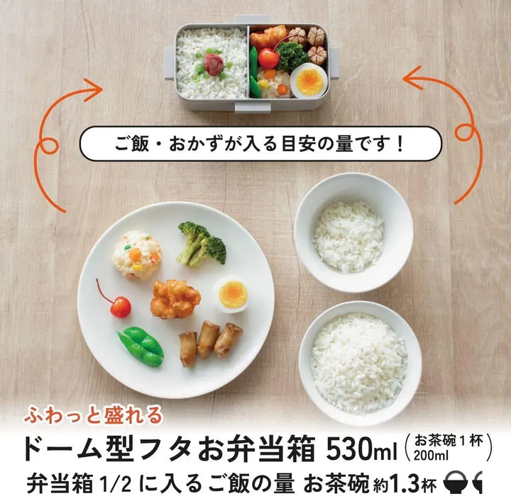 Skater Bento Box Food Container