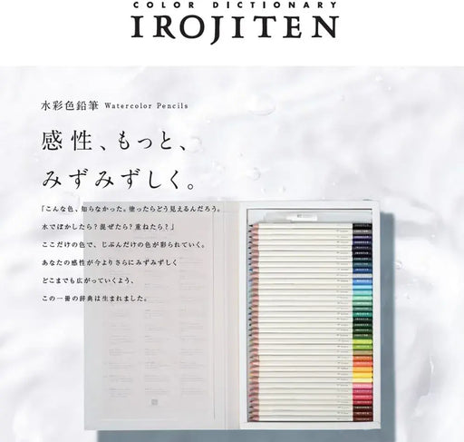 Tombow Color Dictionary Watercolor Pencils