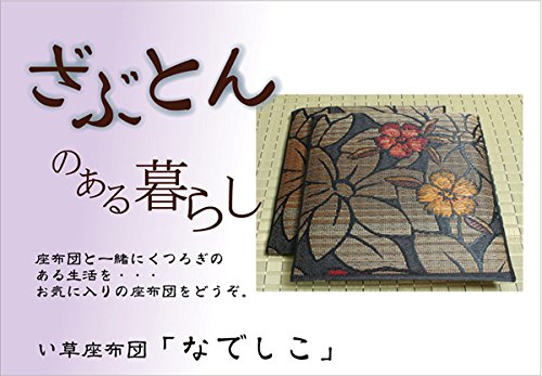 Ikehiko Corp Japan Rush Zabuton Nadeshiko 2-Piece Set Blue 60x60cm-Kiichin - The #1 Place for Japanese Goods in Your Hand!