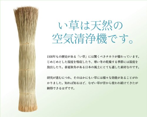 Ikehiko Corp Japan Rush Zabuton Nadeshiko 2-Piece Set Blue 60x60cm-Kiichin - The #1 Place for Japanese Goods in Your Hand!