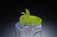Takeya 1.7L Midori Liquid Sealed Bottle - Authentic Japanese S-Type - Premium Quality-Kiichin - The #1 Place for Japanese Goods in Your Hand!