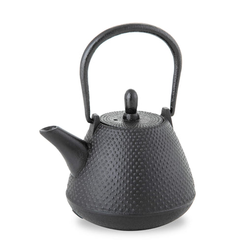 Nambu Tekki Teapot 0.4L - Black Black Enameled Inside Tea Strainer Traditional Crafts Japanese Tea Pot Souvenir-Kiichin - The #1 Place for Japanese Goods in Your Hand!