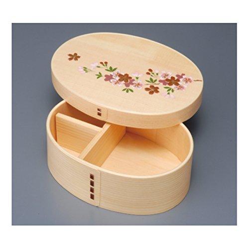 Ruozhao Magewappa Japan Single Tier Lunch Box - Sakura Design-Kiichin - The #1 Place for Japanese Goods in Your Hand!