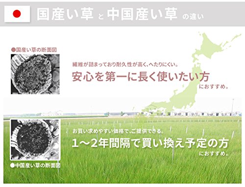 Ikehiko Corporation Japan Noah Floor Mat & Pillow Set Brown 90X200Cm Mat & 40X20Cm Pillow-Kiichin - The #1 Place for Japanese Goods in Your Hand!