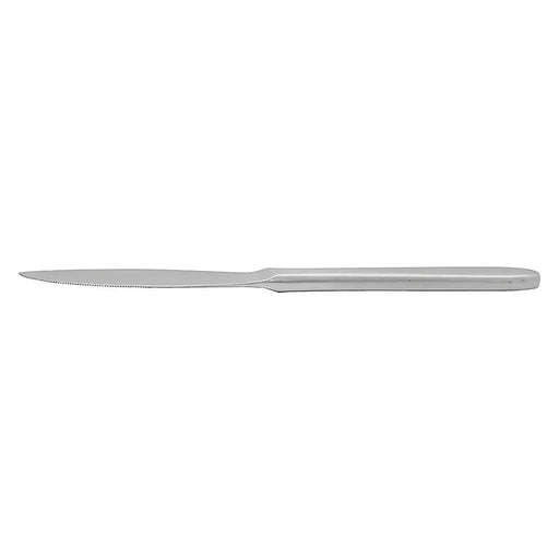 Nihon Yoshokki Sori Yanagi 22Cm Stainless Steel Dinner Knife - Made in Japan-Kiichin - The #1 Place for Japanese Goods in Your Hand!