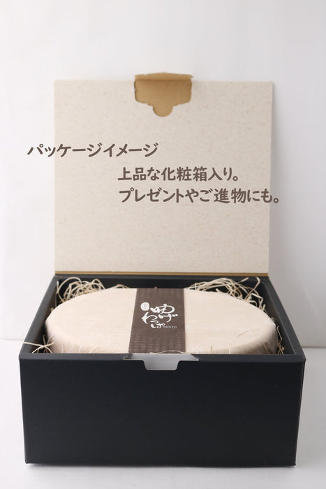 Ruozhao Japanese Magewappa Rectangular Single Tier Lunch Box - WP09W-Kiichin - The #1 Place for Japanese Goods in Your Hand!